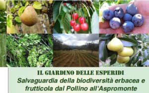 locandina_seminario