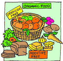 organic_food