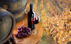 vino_vigneti_botte