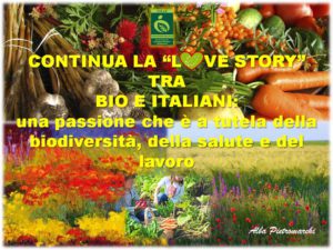 love story bio