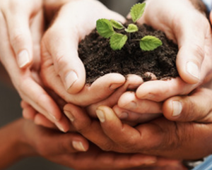 alimentazione_biologica_02