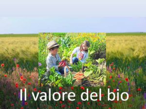 ilvaloredelbio