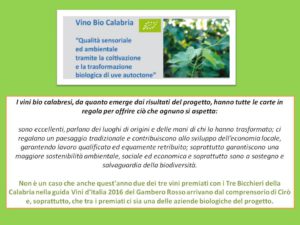 risultativino bio calabria