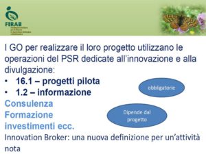 gruppo operativo
