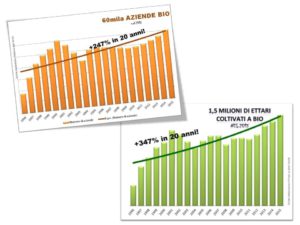 trend in 20 anni
