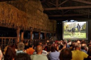 azienda_agricola_paolo_trinca_-_da_stalla_a_sala_cinematografica