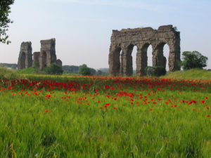 resti-e-campi