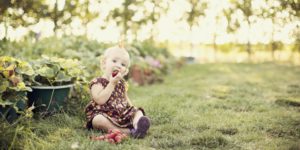 A young girl eats strawberries from the garden. Yum.