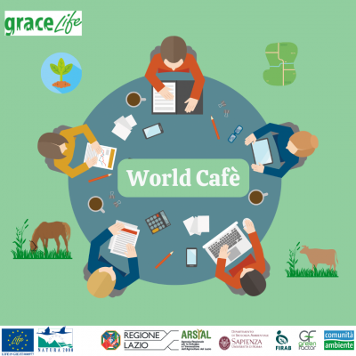 Con il primo World Cafè, Life Grace incontra allevatori e operatori dei territori Ausoni e Aurunci