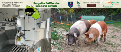 Seminario annuale SAIMarche, 24 novembre a Camerino