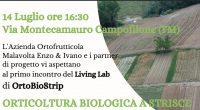 Progetto OrtoBioStrip: la diversificazione di colture e diete oggetto di confronto