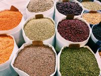 Proteine vegetali: un questionario online per conoscere consumi, abitudini di acquisto e opinioni