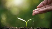 Il biologico come strumento efficace per contrastare i cambiamenti climatici