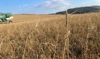 Firab lancia “Che clima fa?”, un’indagine sugli eventi meteo estremi e sulle misure di contrasto/adattamento alla crisi climatica tra le aziende di agricoltura biologica e biodinamica in Italia